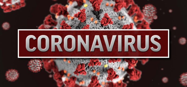 Library Continues to Offer Free Rapid At-Home COVID-19 Test Kits