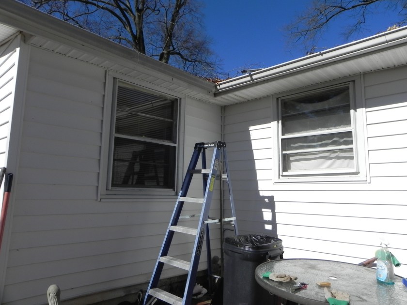 Ladder sitting near house.