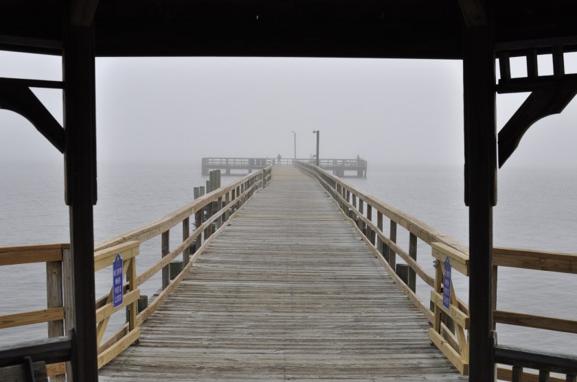 View of wooden pier from inside pergola.